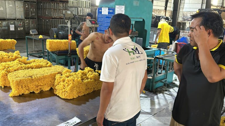 Thành phẩm sau sấy của BIO CB24